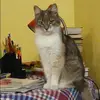 Отзыв от Оля Поликарпова